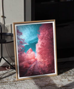 Alternative view of Fairytale Express