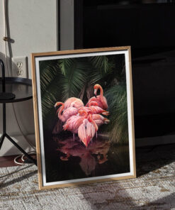 Alternative view of Flovemingo