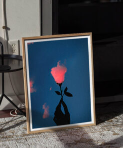 Alternative view of Pink Cloud Rose