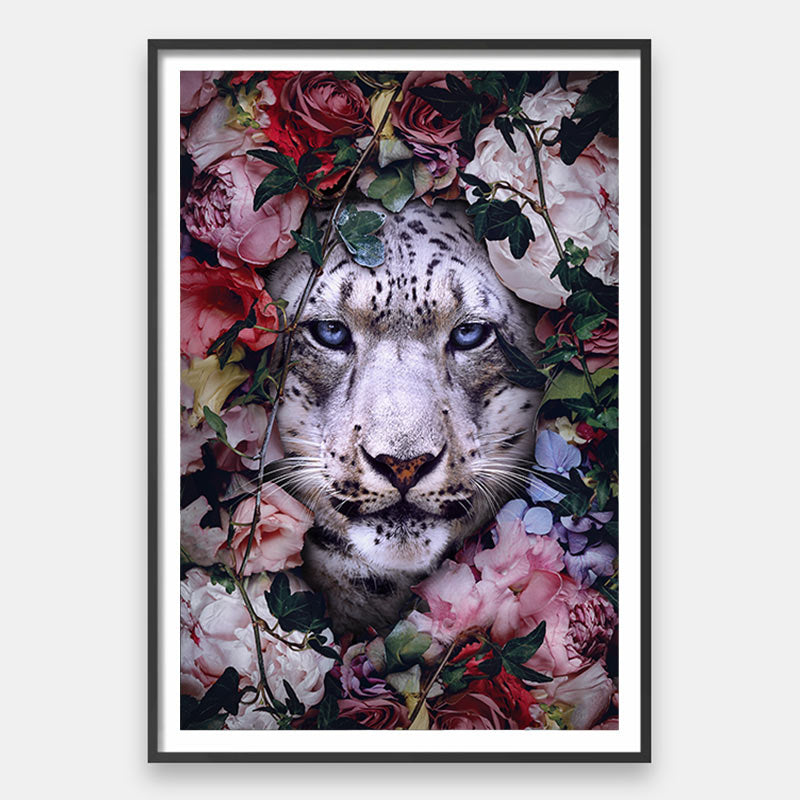 Snowflower - immagine 9