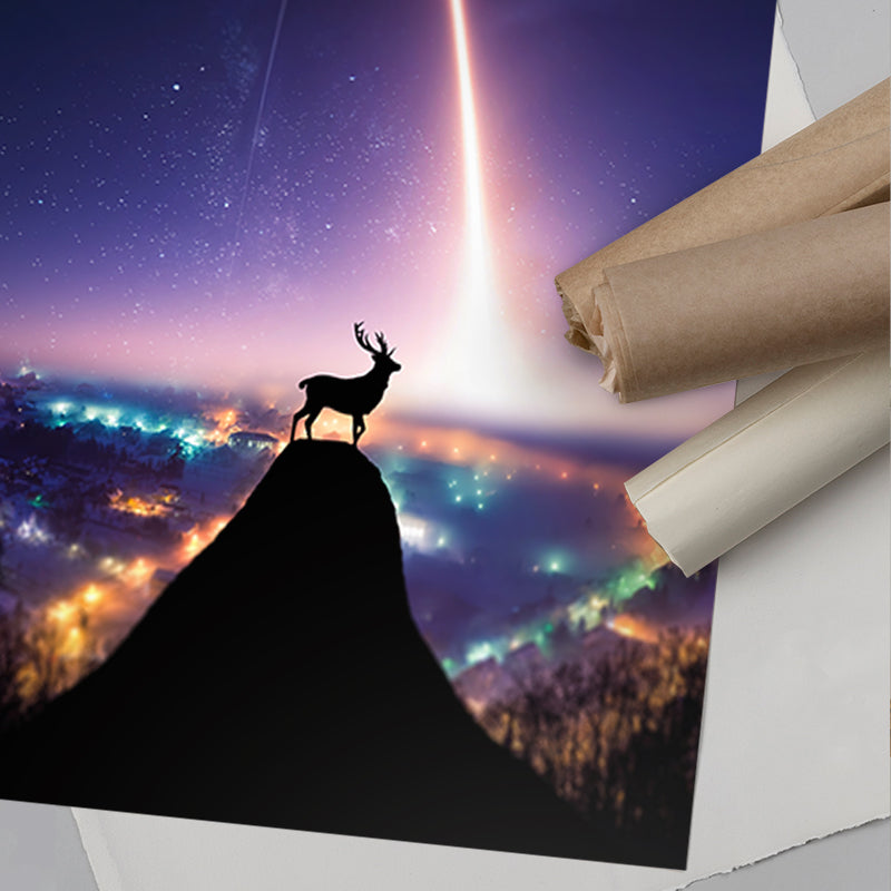 Dear Tomorrow - immagine 8